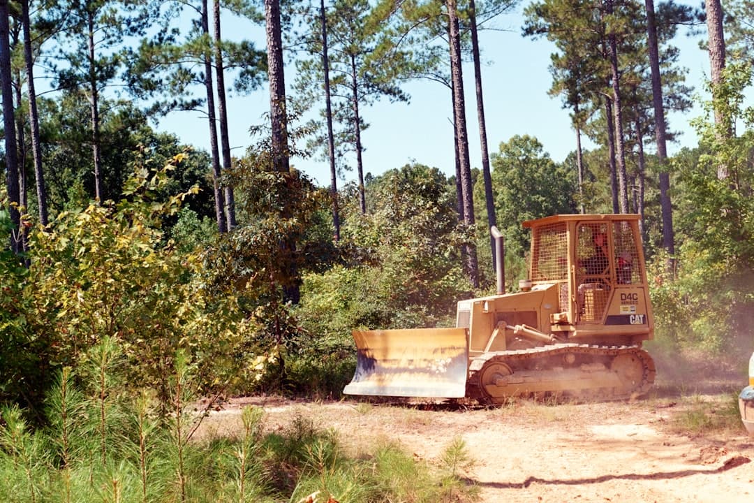 clearing and grubbing background